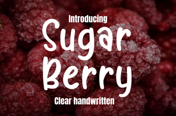 How Sugar Berry Font Brings Warmth and Clarity to Editorial Design